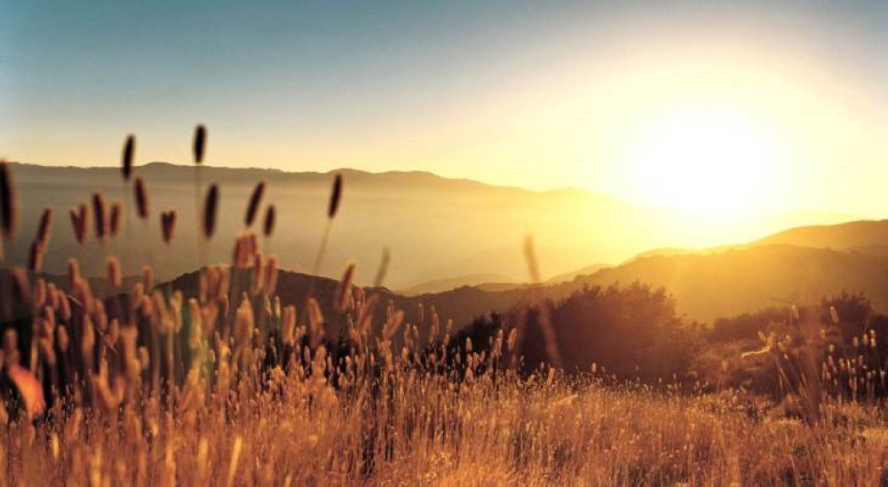 أجواء دافئة في أغلب المناطق حتى الأحد 